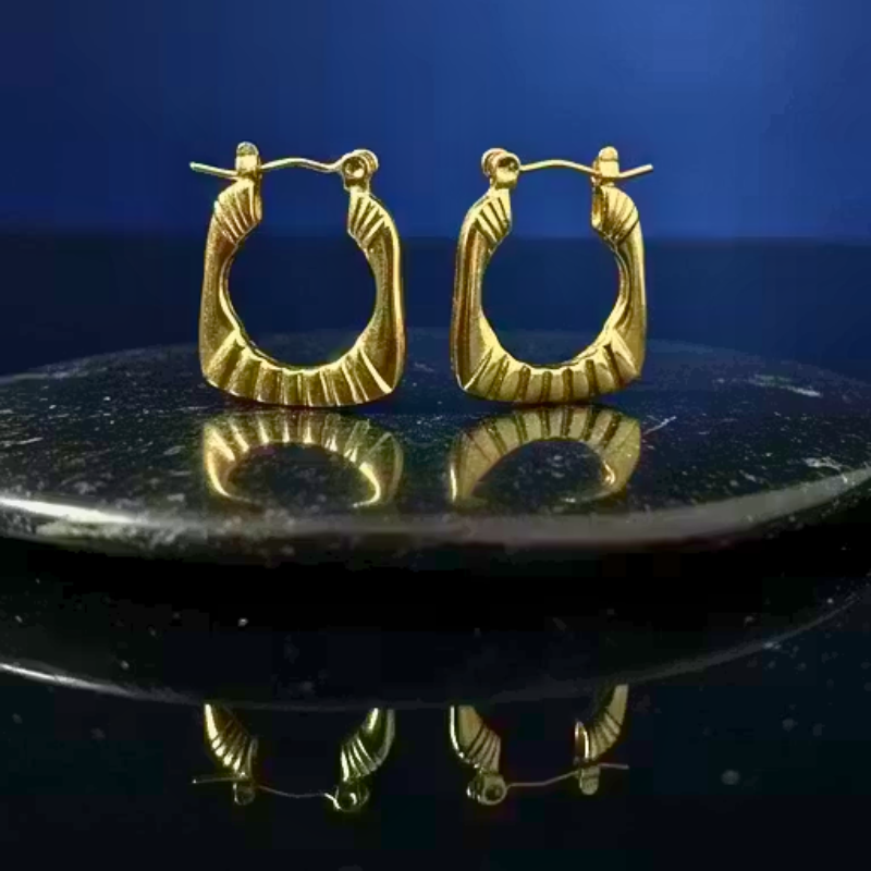 Twisted Hoop Earrings